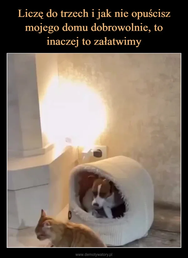 
    Liczę do trzech i jak nie opuścisz mojego domu dobrowolnie, to inaczej to załatwimy