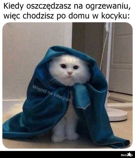 
    Oszczędzanie 