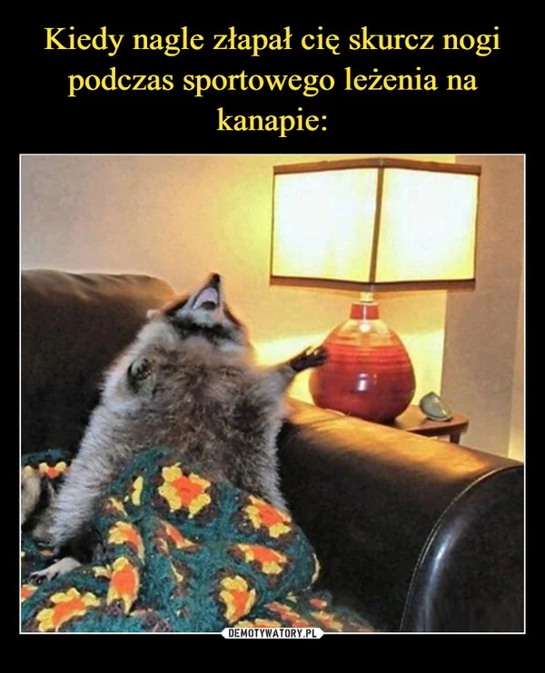 
    Kiedy nagle złapał cię skurcz nogi podczas sportowego leżenia na kanapie:
