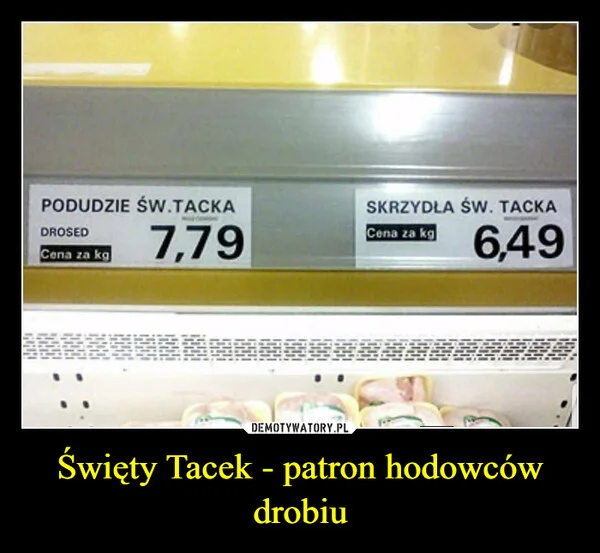 
    Święty Tacek - patron hodowców drobiu