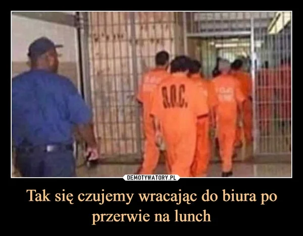 
    Tak się czujemy wracając do biura po przerwie na lunch
