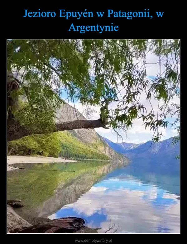 
    Jezioro Epuyén w Patagonii, w Argentynie