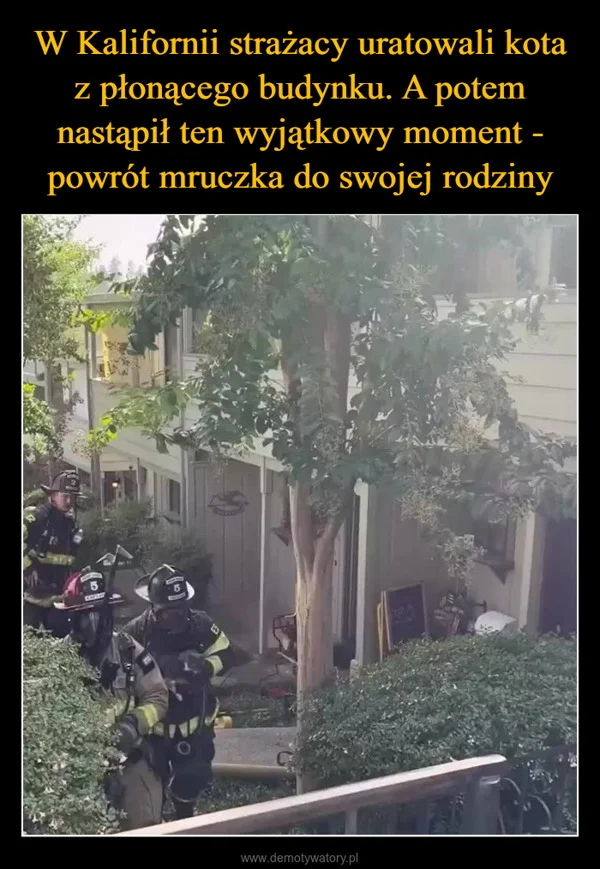 
    W Kalifornii strażacy uratowali kota z płonącego budynku. A potem nastąpił ten wyjątkowy moment - powrót mruczka do swojej rodziny