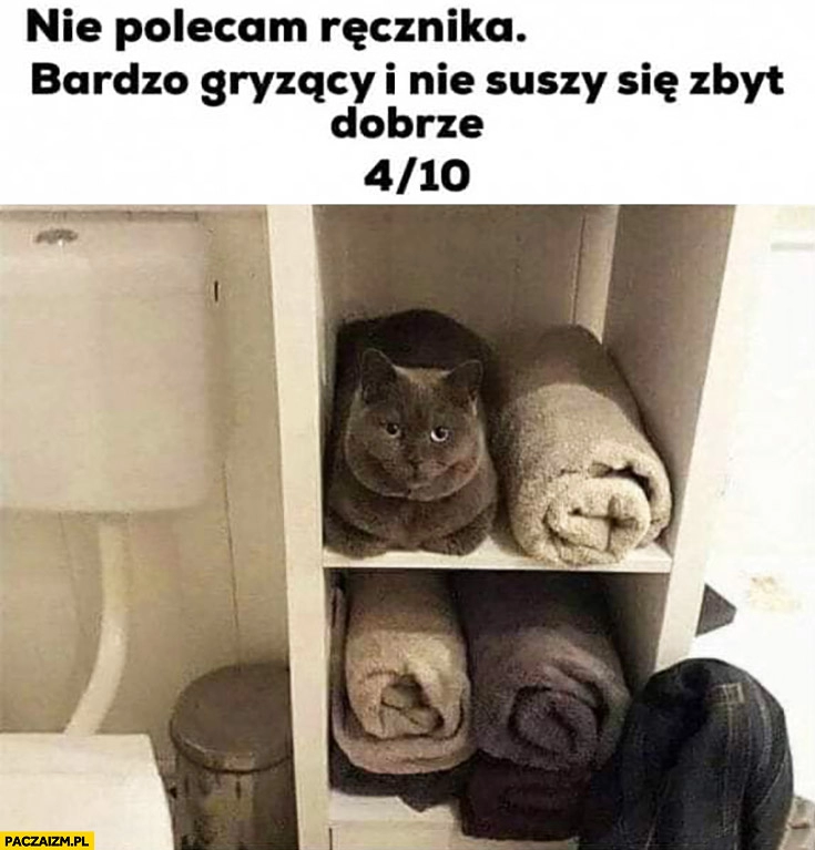 
    Kot ręcznik nie polecam tego ręcznika bardzo gryzący i nie suszy zbyt dobrze