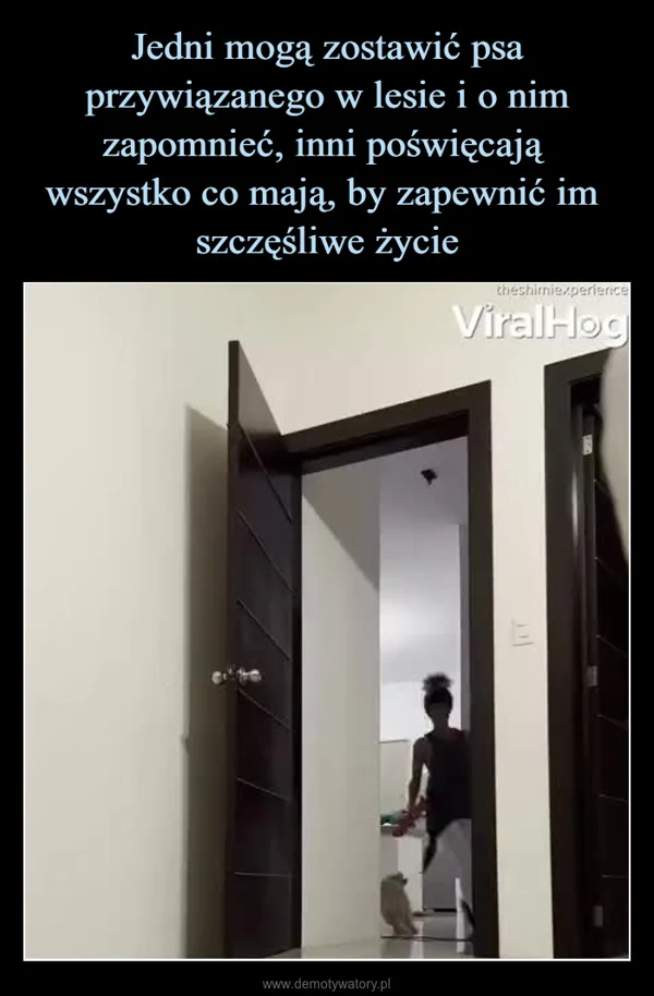 
    Jedni mogą zostawić psa przywiązanego w lesie i o nim zapomnieć, inni poświęcają wszystko co mają, by zapewnić im szczęśliwe życie