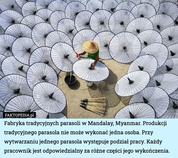 
    Fabryka tradycyjnych parasoli w Mandalay, Myanmar. Produkcji tradycyjnego