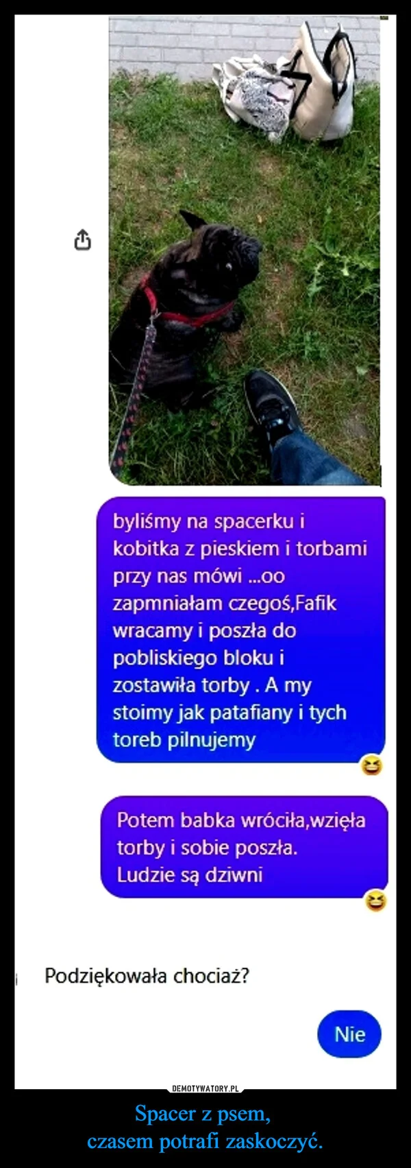 
    Spacer z psem, czasem potrafi zaskoczyć.