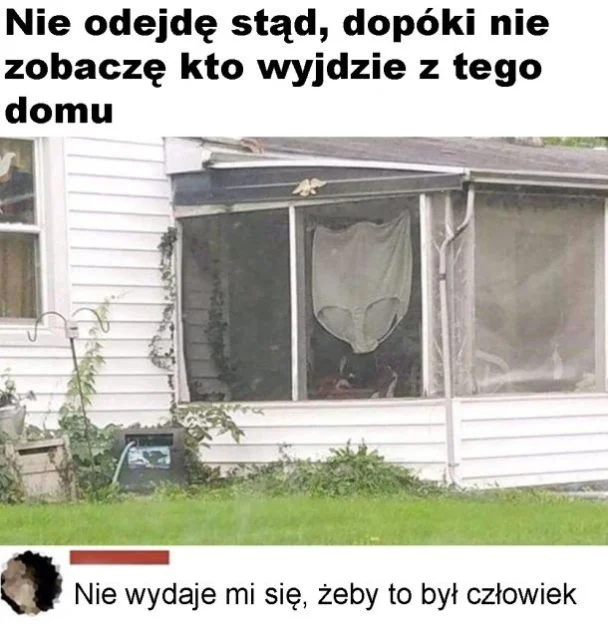 
    Sporawe