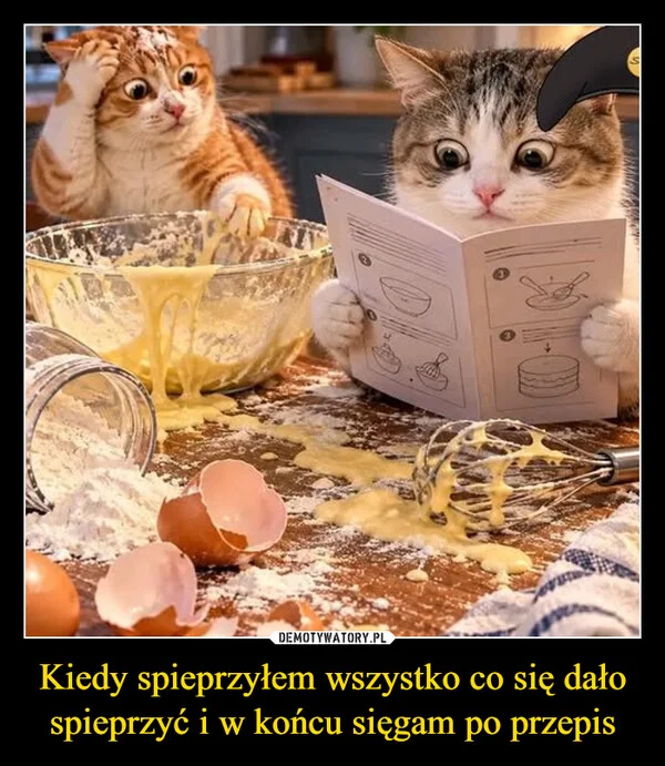 
    Kiedy spieprzyłem wszystko co się dało spieprzyć i w końcu sięgam po przepis