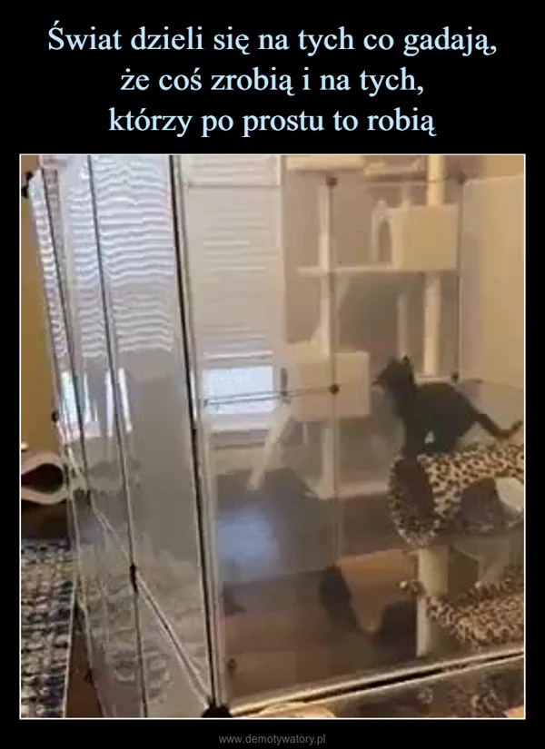 
    Świat dzieli się na tych co gadają, że coś zrobią i na tych, którzy po prostu to robią
