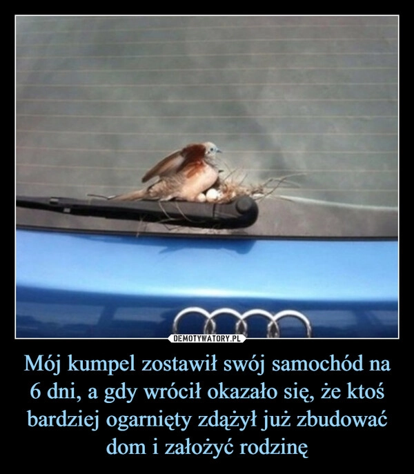 
    Mój kumpel zostawił swój samochód na 6 dni, a gdy wrócił okazało się, że ktoś bardziej ogarnięty zdążył już zbudować dom i założyć rodzinę