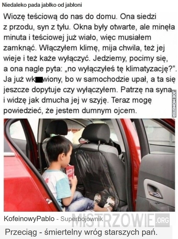 
    Niedaleko pada jabłko od jabłoni
