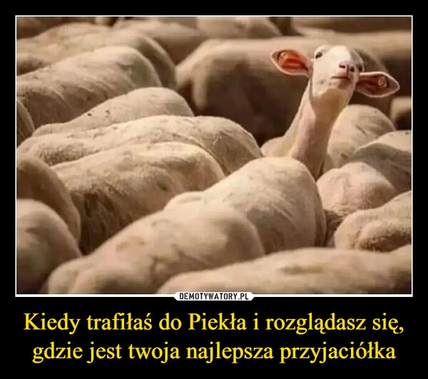 
    Kiedy trafiłaś do Piekła i rozglądasz się, gdzie jest twoja najlepsza przyjaciółka