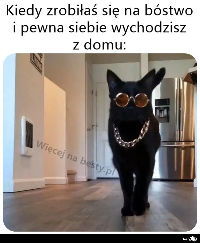 
    Można iść w miasto 