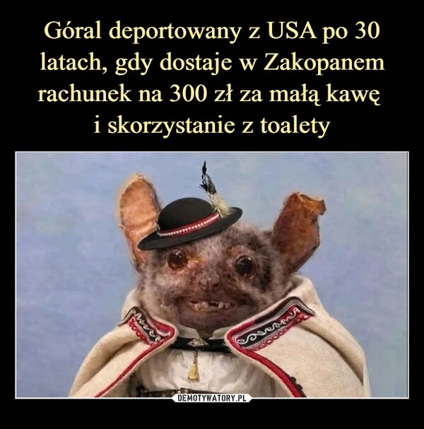 
    Góral deportowany z USA po 30 latach, gdy dostaje w Zakopanem rachunek na 300 zł za małą kawę i skorzystanie z toalety