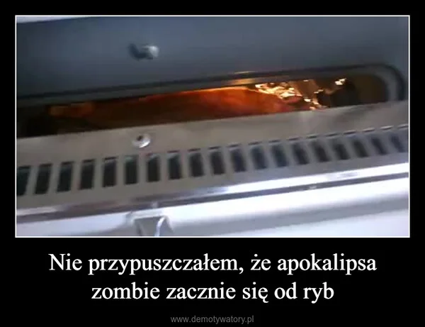 
    Nie przypuszczałem, że apokalipsa zombie zacznie się od ryb