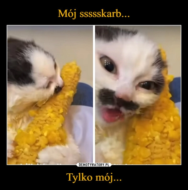 
    Mój ssssskarb... Tylko mój...