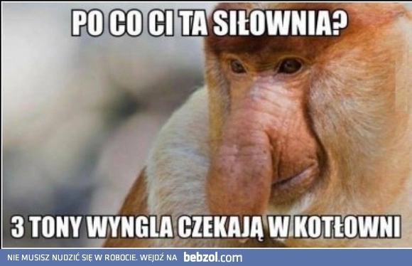 
    Na co Ci ta siłownia