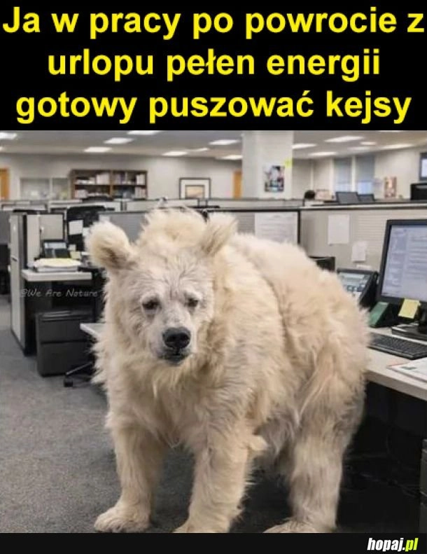 
    Lecimy lecimy, jest krancz