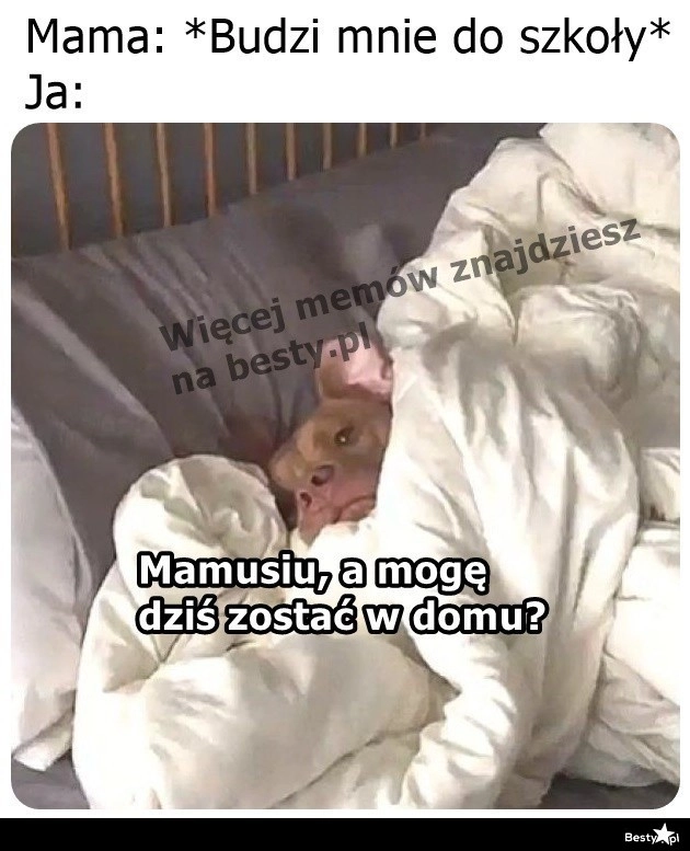 
    Może się zgodzi 