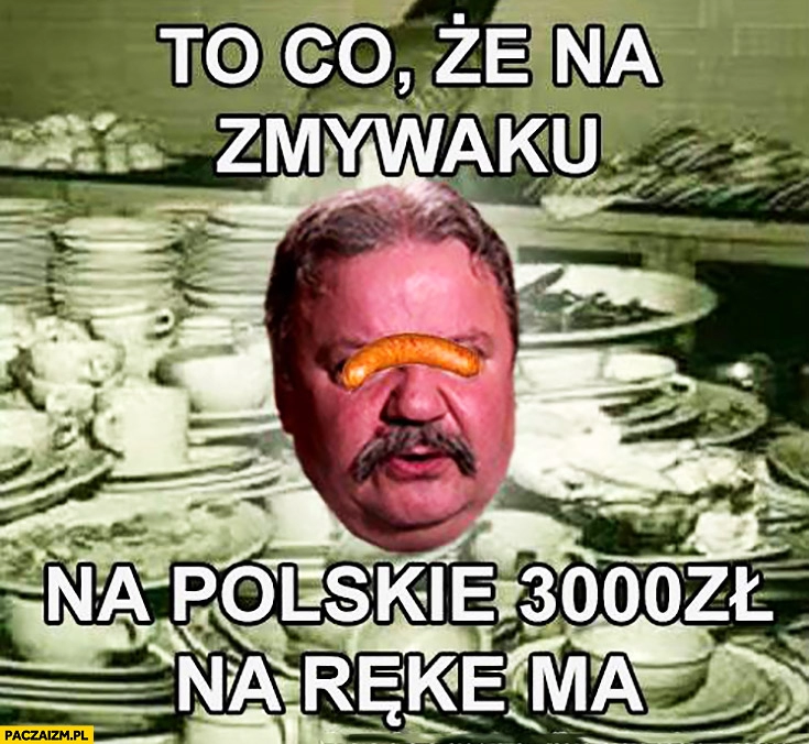 
    To co, że na zmywaku? Na polskie 3000zł na rękę ma Typowy Janusz