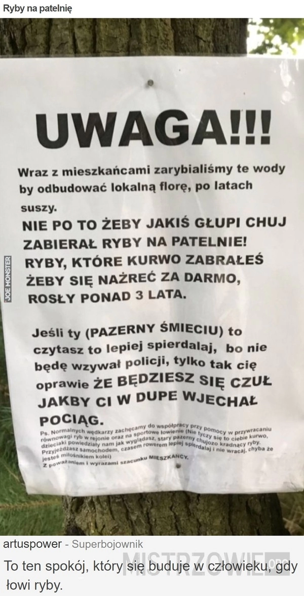 
    Ryby na patelnię