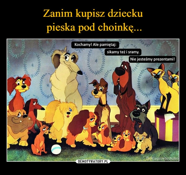 
    Zanim kupisz dziecku
 pieska pod choinkę...