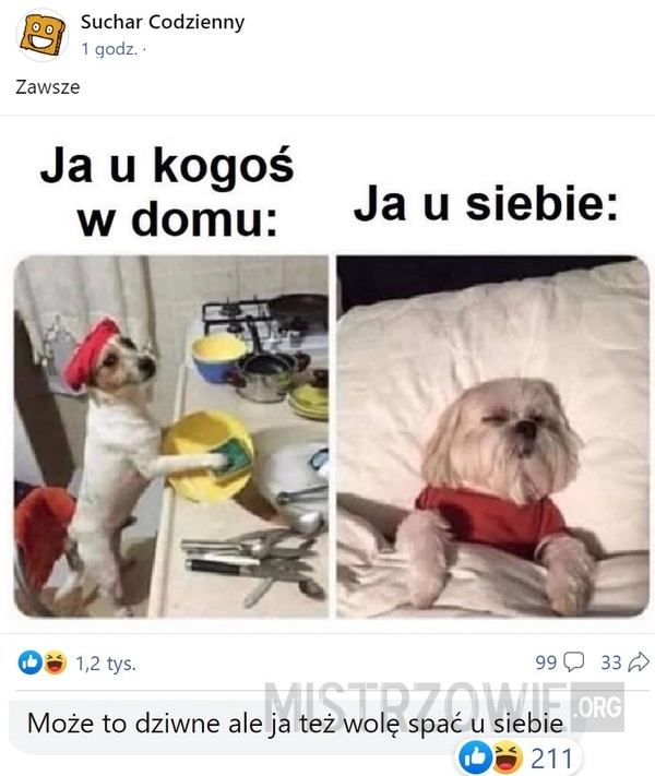 
    Ja u...