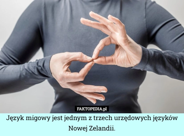 
    Język migowy jest jednym z trzech urzędowych języków Nowej Zelandii.
