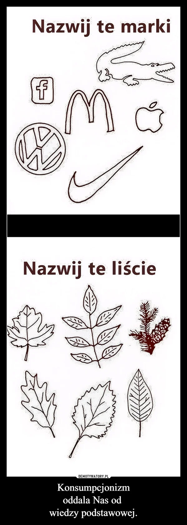 
    Konsumpcjonizm oddala Nas od wiedzy podstawowej.