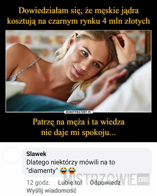 
    Męskie jądra