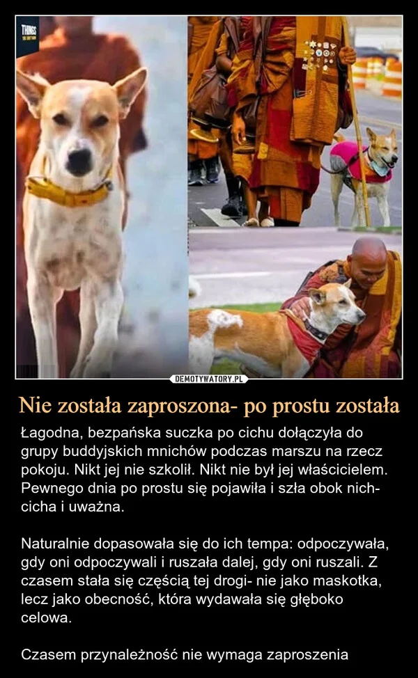 
    Nie została zaproszona- po prostu została