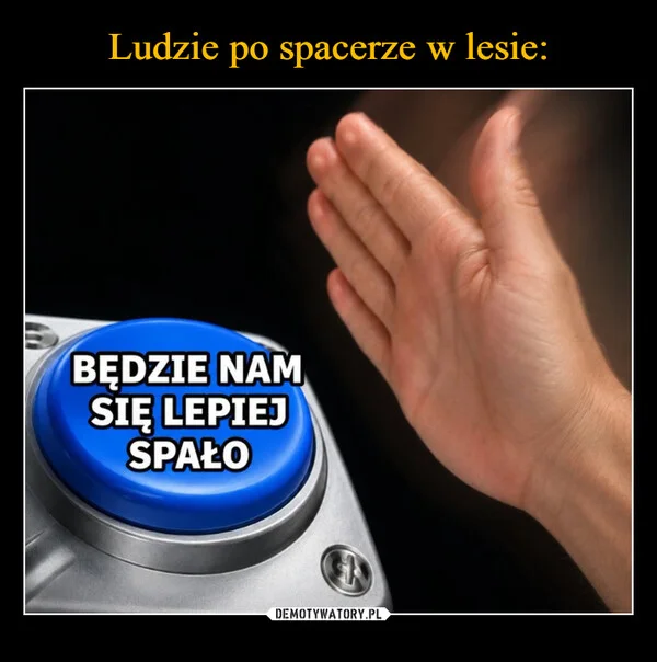 Ludzie po spacerze w lesie: