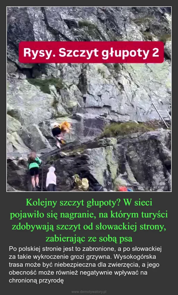 
    Kolejny szczyt głupoty? W sieci pojawiło się nagranie, na którym turyści zdobywają szczyt od słowackiej strony, zabierając ze sobą psa