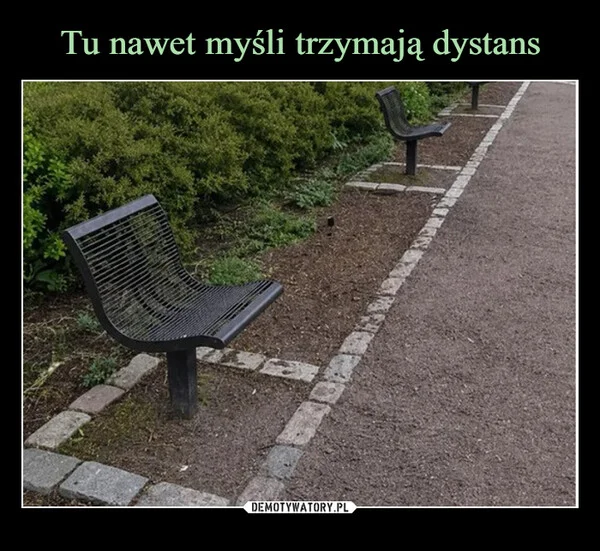 
    Tu nawet myśli trzymają dystans