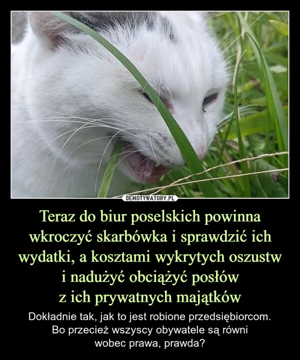 
    Teraz do biur poselskich powinna wkroczyć skarbówka i sprawdzić ich wydatki, a kosztami wykrytych oszustw i nadużyć obciążyć posłów z ich prywatnych majątków