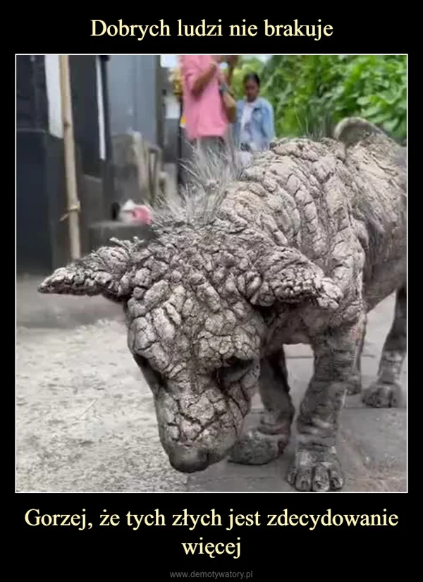 
    Dobrych ludzi nie brakuje Gorzej, że tych złych jest zdecydowanie więcej