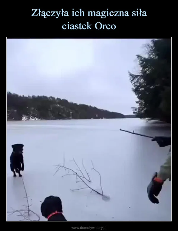 
    Złączyła ich magiczna siła ciastek Oreo