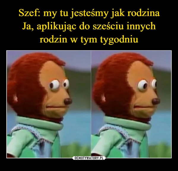 
    Szef: my tu jesteśmy jak rodzina Ja, aplikując do sześciu innych rodzin w tym tygodniu