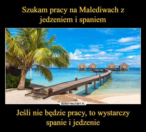 
    Szukam pracy na Malediwach z jedzeniem i spaniem Jeśli nie będzie pracy, to wystarczy spanie i jedzenie