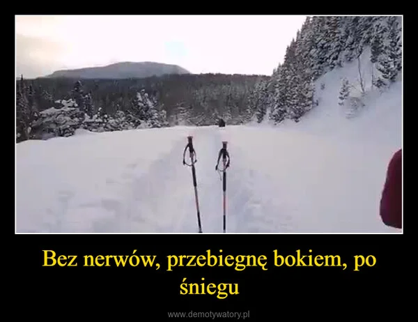 
    Bez nerwów, przebiegnę bokiem, po śniegu