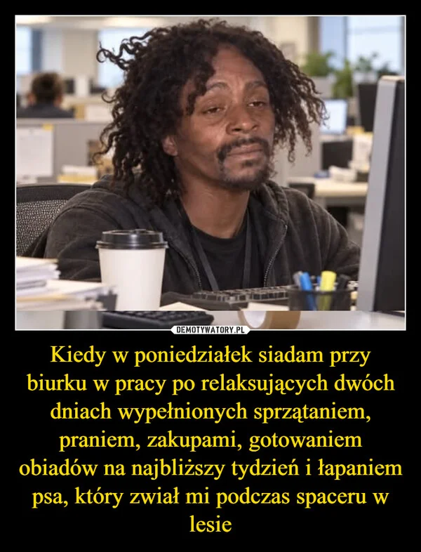 Kiedy w poniedziałek siadam przy biurku w pracy po relaksujących dwóch dniach wypełnionych sprzątaniem, praniem, zakupami, gotowaniem obiadów na najbliższy tydzień i łapaniem psa, który zwiał mi podczas spaceru w lesie