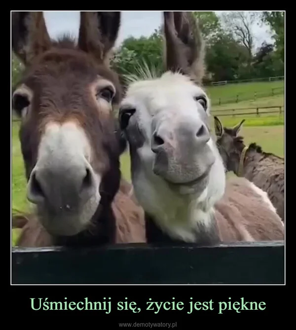 
    Uśmiechnij się, życie jest piękne