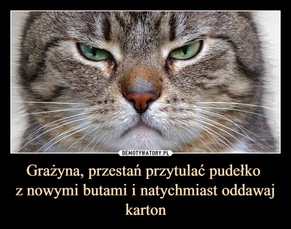 
    Grażyna, przestań przytulać pudełko z nowymi butami i natychmiast oddawaj karton