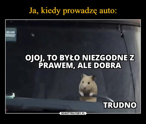 
    Ja, kiedy prowadzę auto: