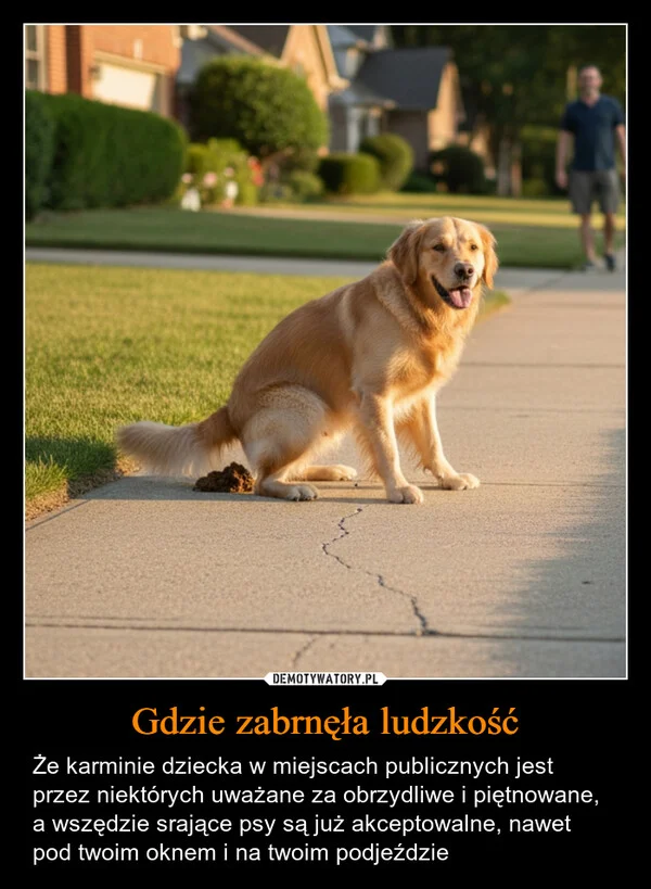 
    Gdzie zabrnęła ludzkość