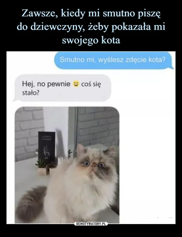 
    Zawsze, kiedy mi smutno piszę do dziewczyny, żeby pokazała mi swojego kota