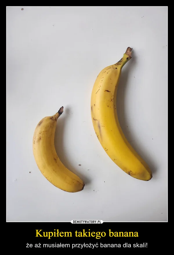 
    Kupiłem takiego banana