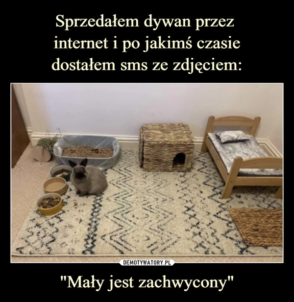 
    Sprzedałem dywan przez 
internet i po jakimś czasie
dostałem sms ze zdjęciem: "Mały jest zachwycony"