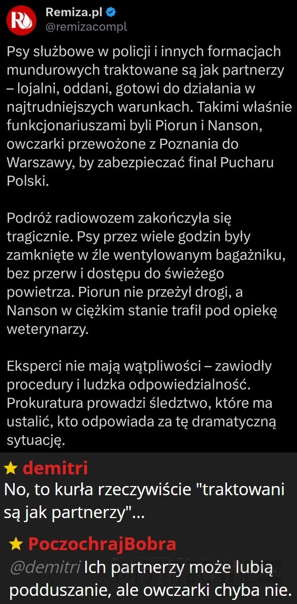 
    Psy służbowe